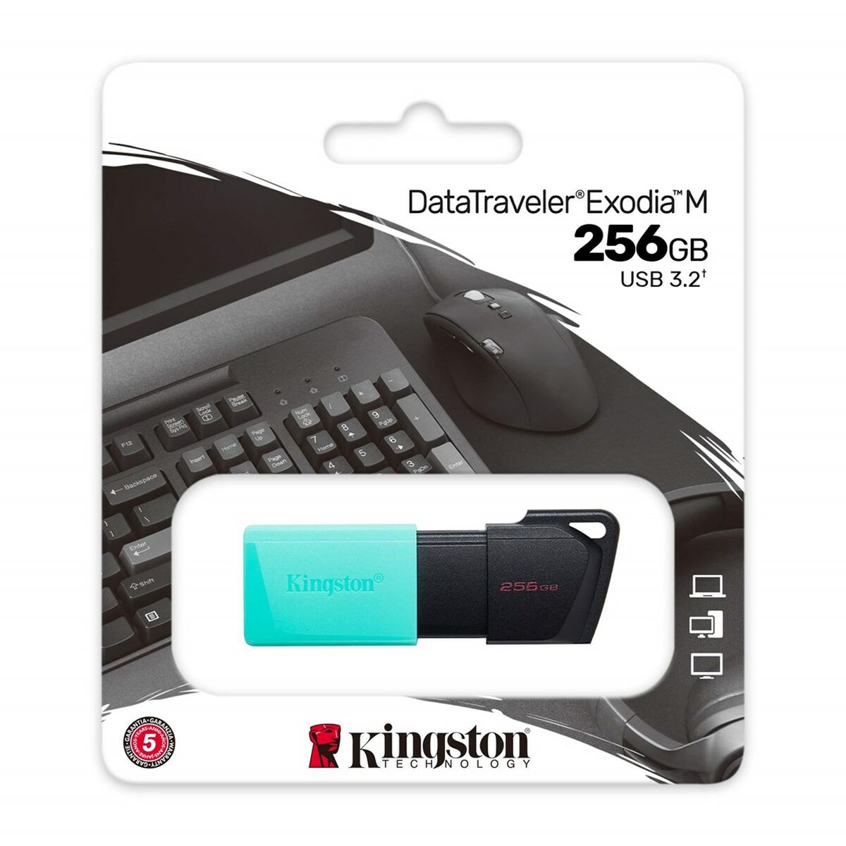 Picture of USB stick Kingston Exodia M Black 256 GB (1 Unit)