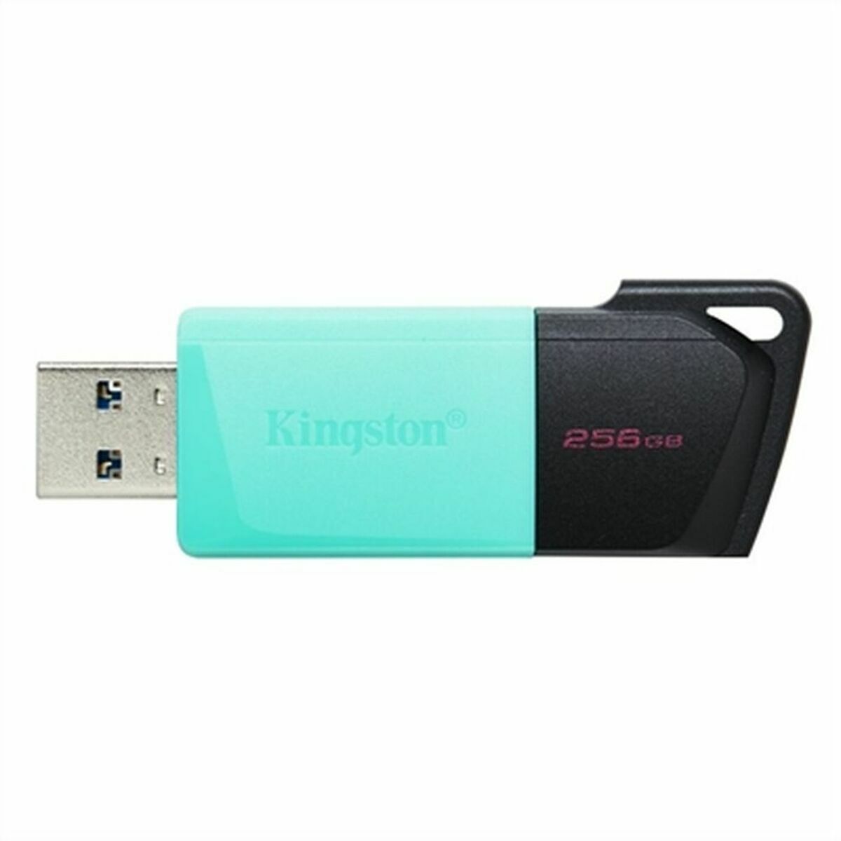 Image de Clé USB Kingston DTXM/256GB Noir 256 GB