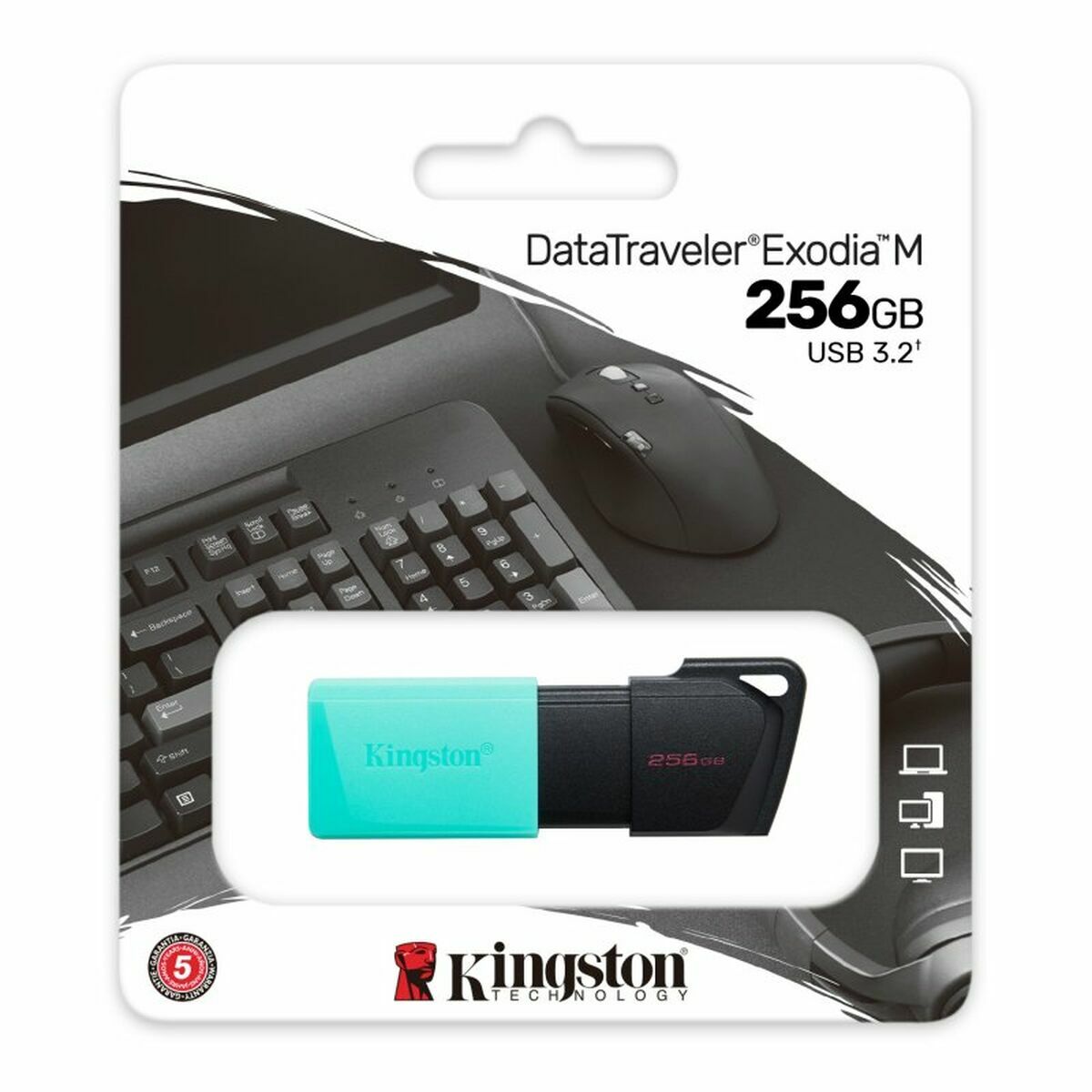 Image de Clé USB Kingston DTXM/256GB Noir 256 GB