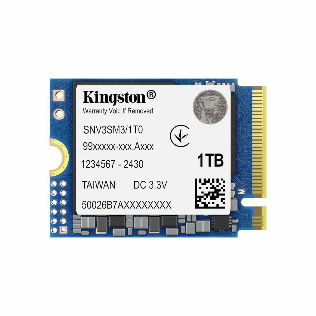 Image de Hard Drive Kingston SNV3SM3/1T0 1 TB SSD
