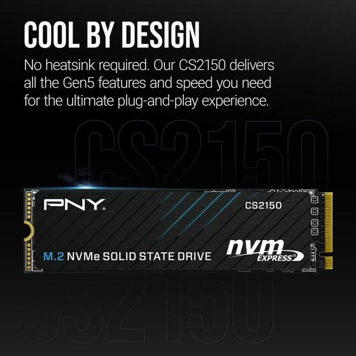 Afbeeldingen van Hard Drive PNY CS2150