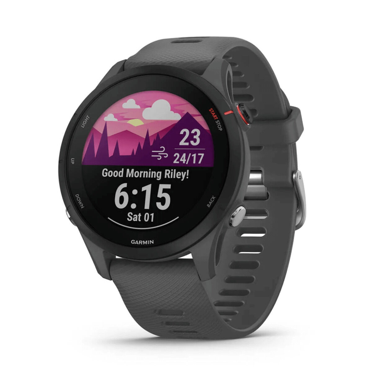 Ceas inteligent Garmin Forerunner 255 Gri 1,3" 46 mm