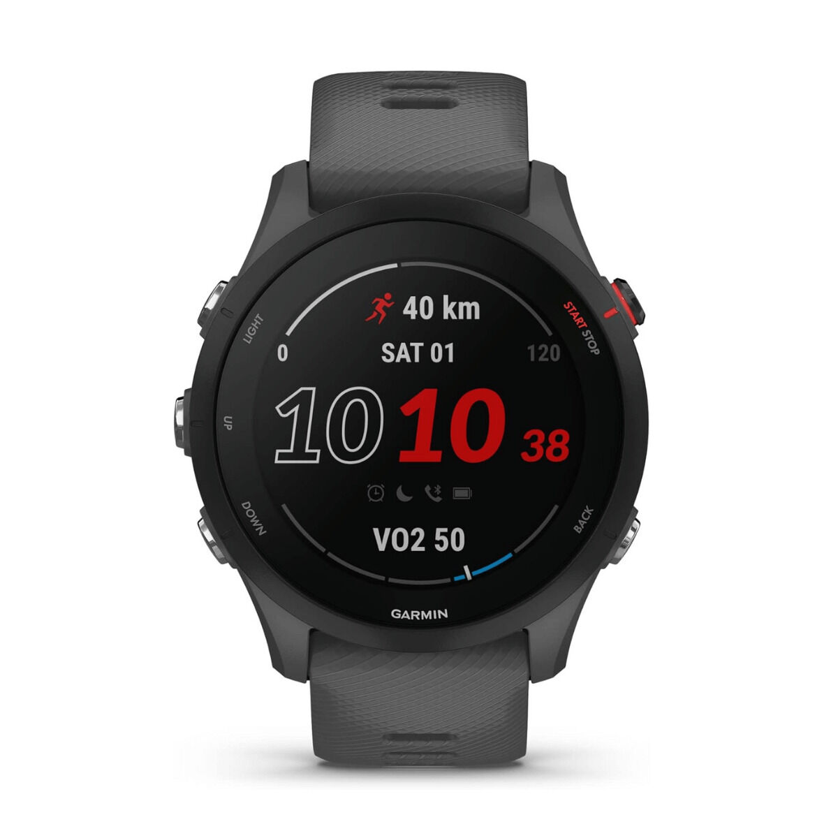 Smartwatch Garmin Forerunner 255 Grey 1,3" 46 mm