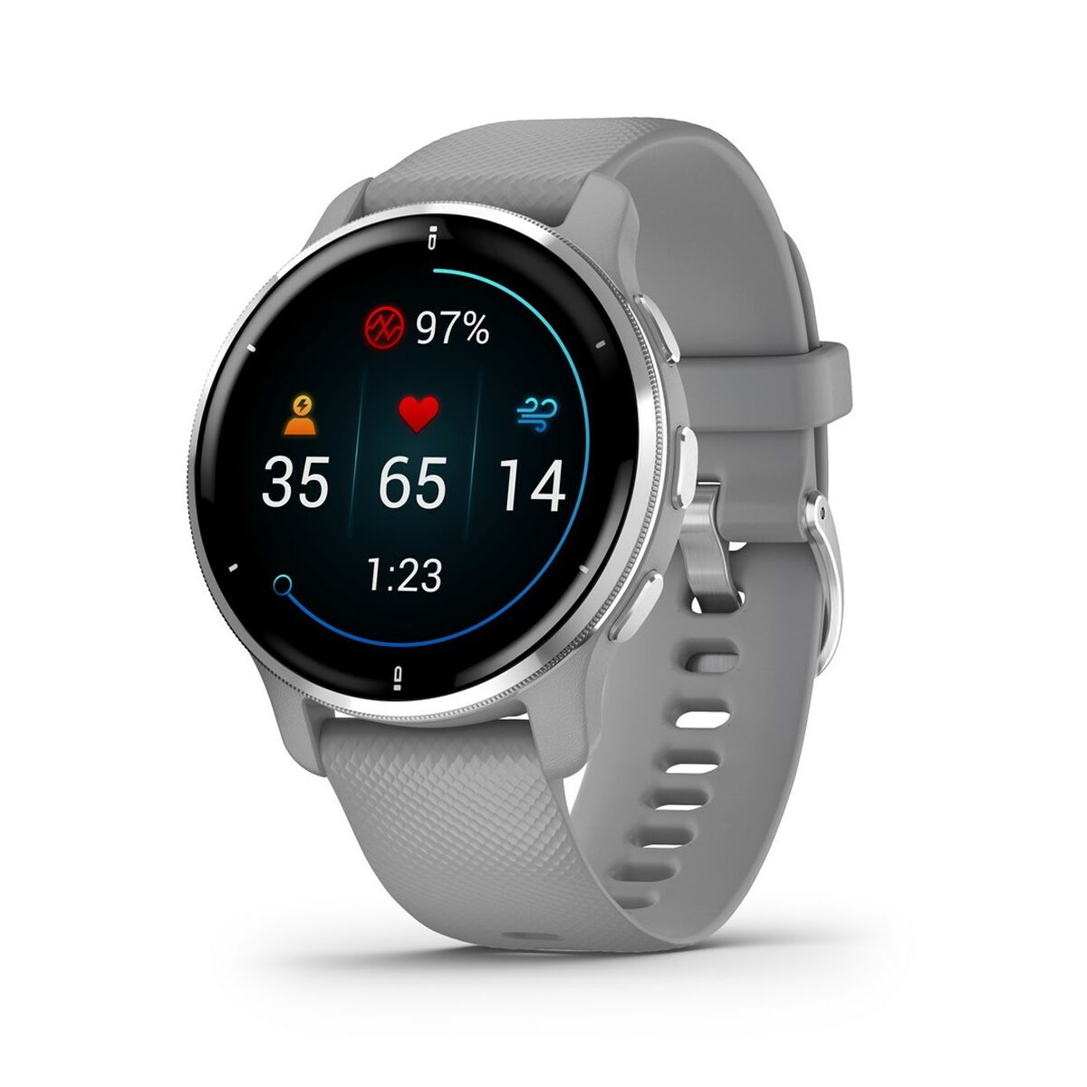 Smartwatch Garmin 010-02496-10 Grey Silver 1,3" 43 mm