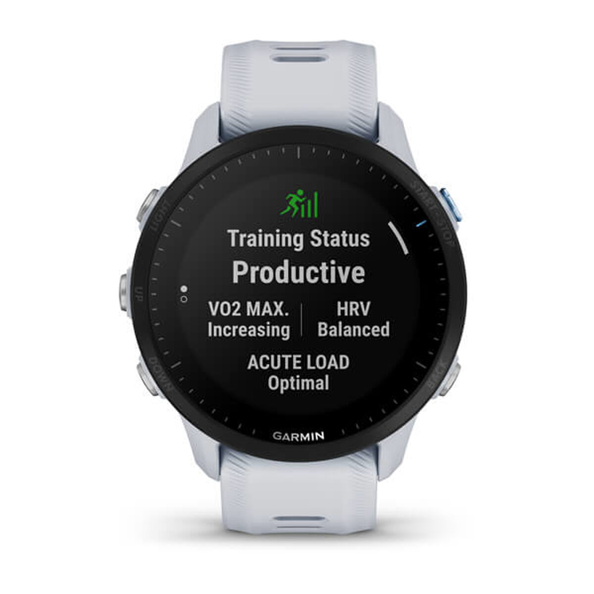 Afbeeldingen van Smartwatch GARMIN 010-02638-31