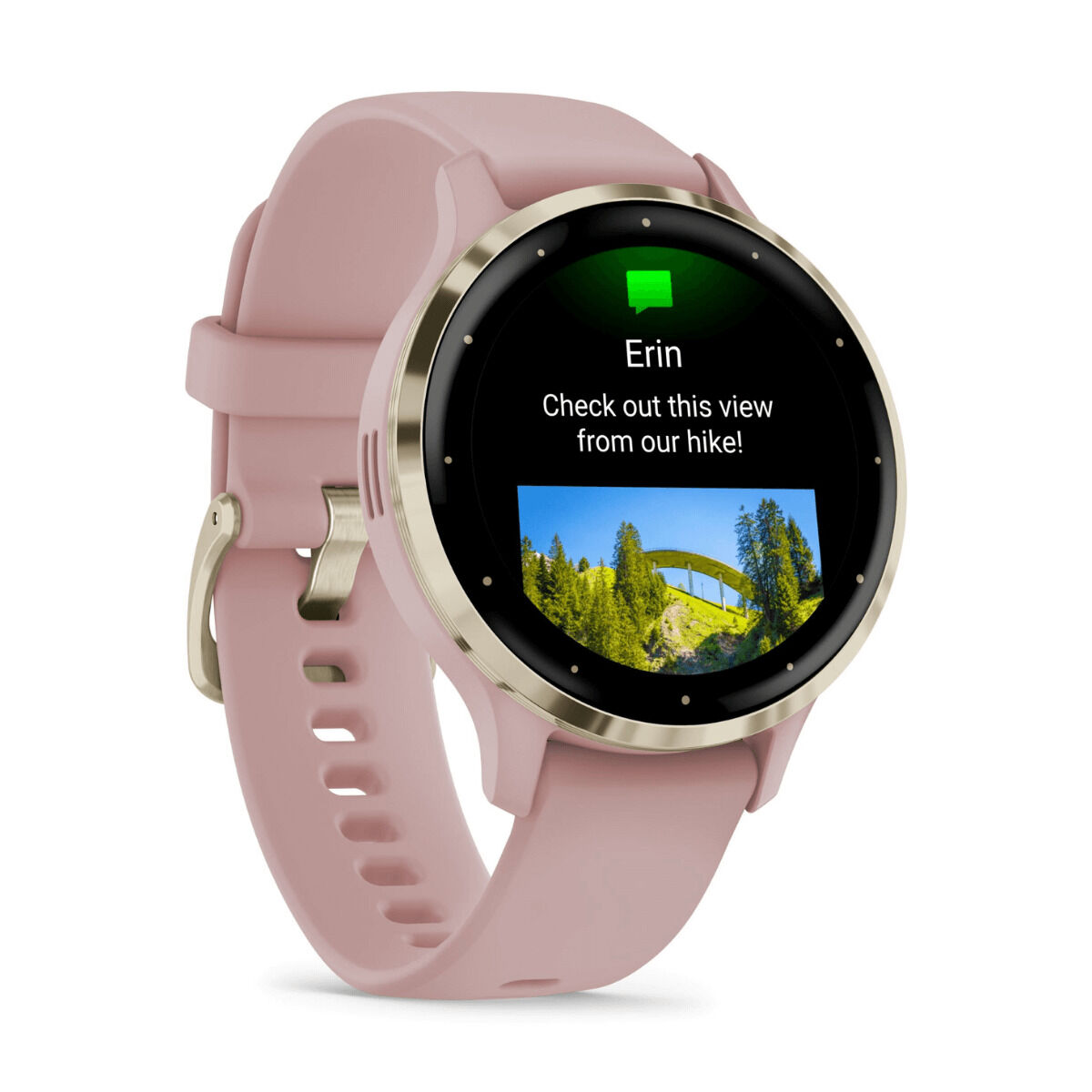 Picture of Smartwatch GARMIN Venu 3S Pink 1,2"
