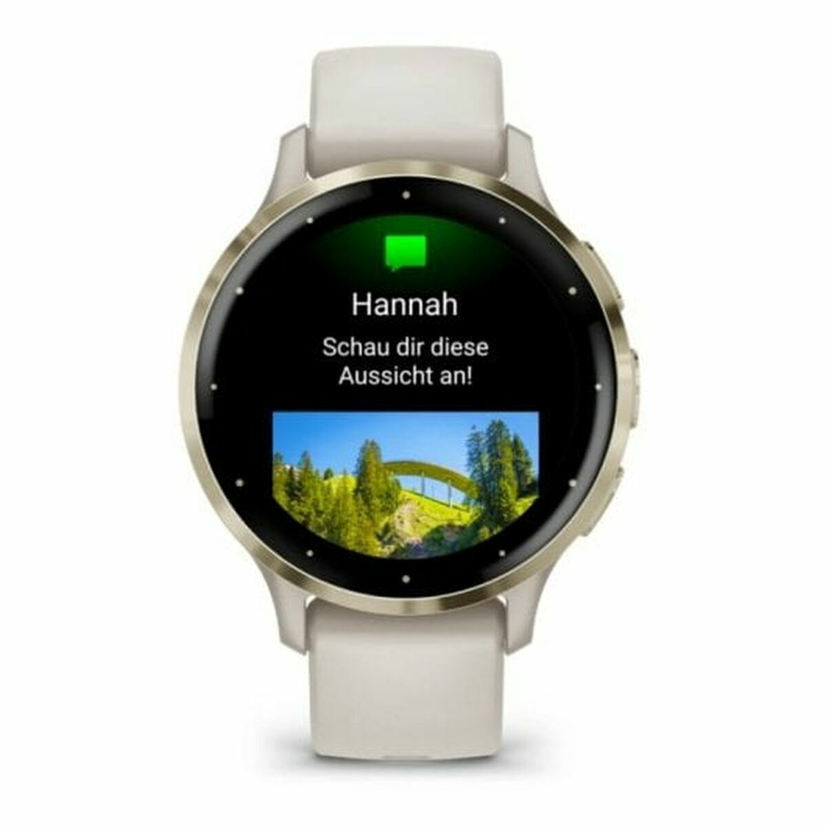 Smartwatch Garmin Venu 3S Golden 1,2"