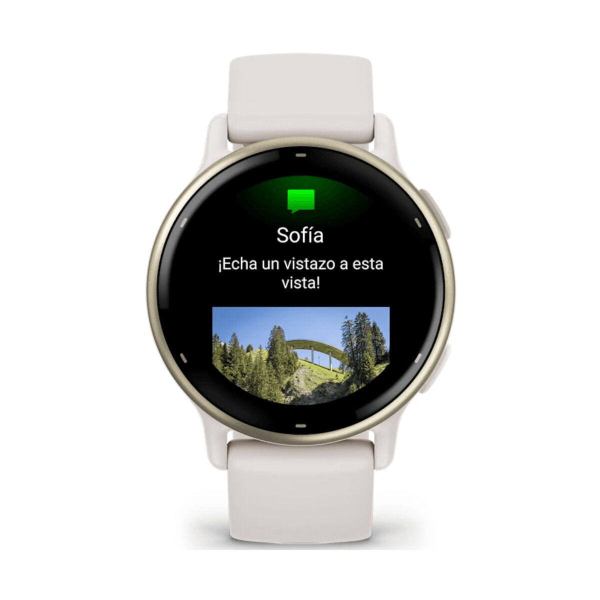 Bild von Smartwatch GARMIN Vivoactive 5 White 1,2"