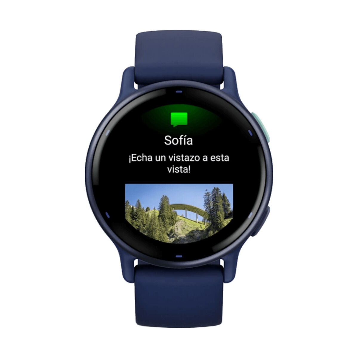 Picture of Men's Watch GARMIN 010-02862-12 Blue 1,2"