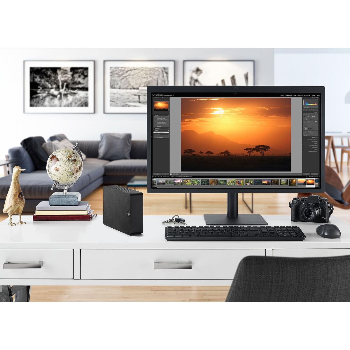 Picture of External Hard Drive Seagate STKP22000400 Black 22 TB