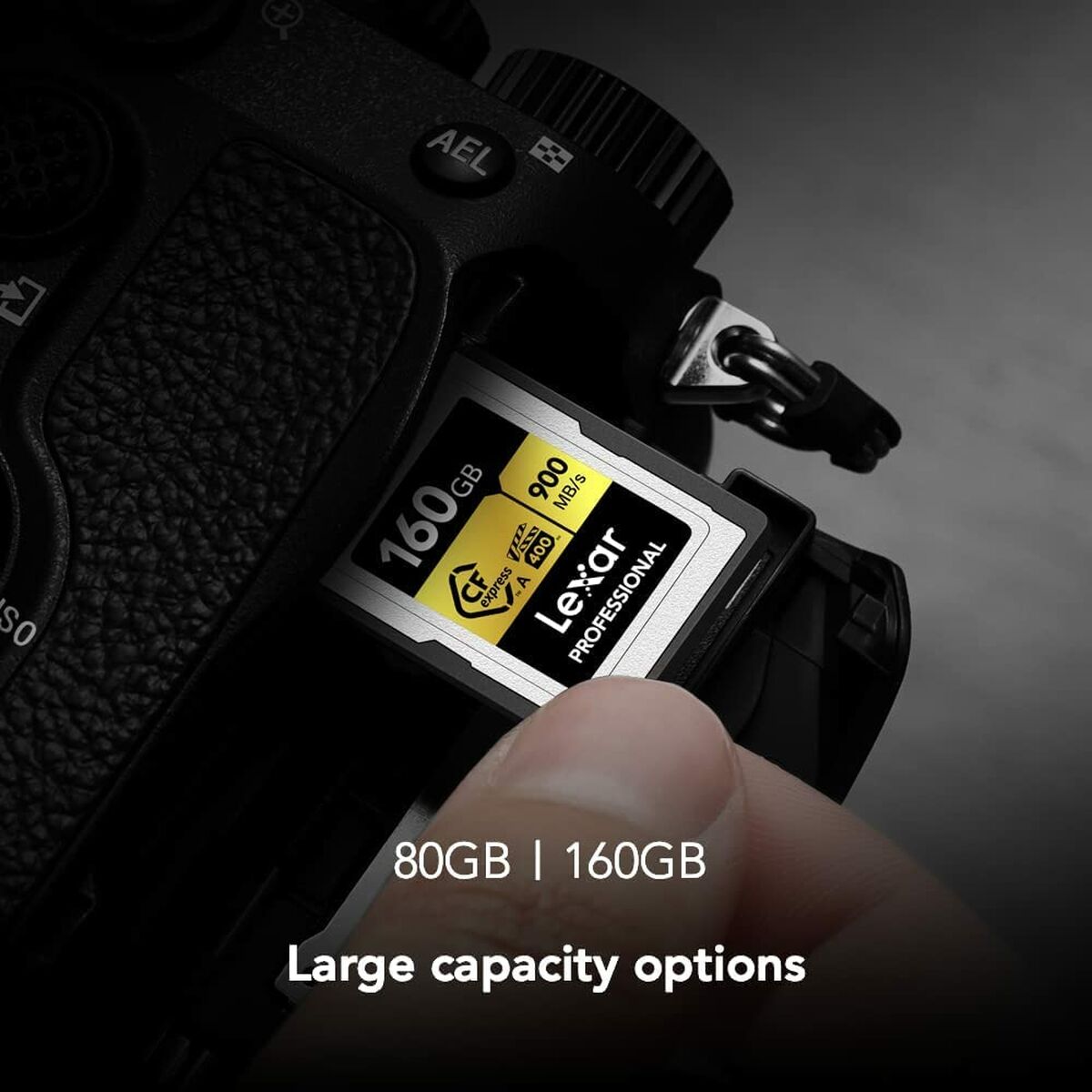 Picture of USB stick Lexar LCAGOLD160G-RNENG Black