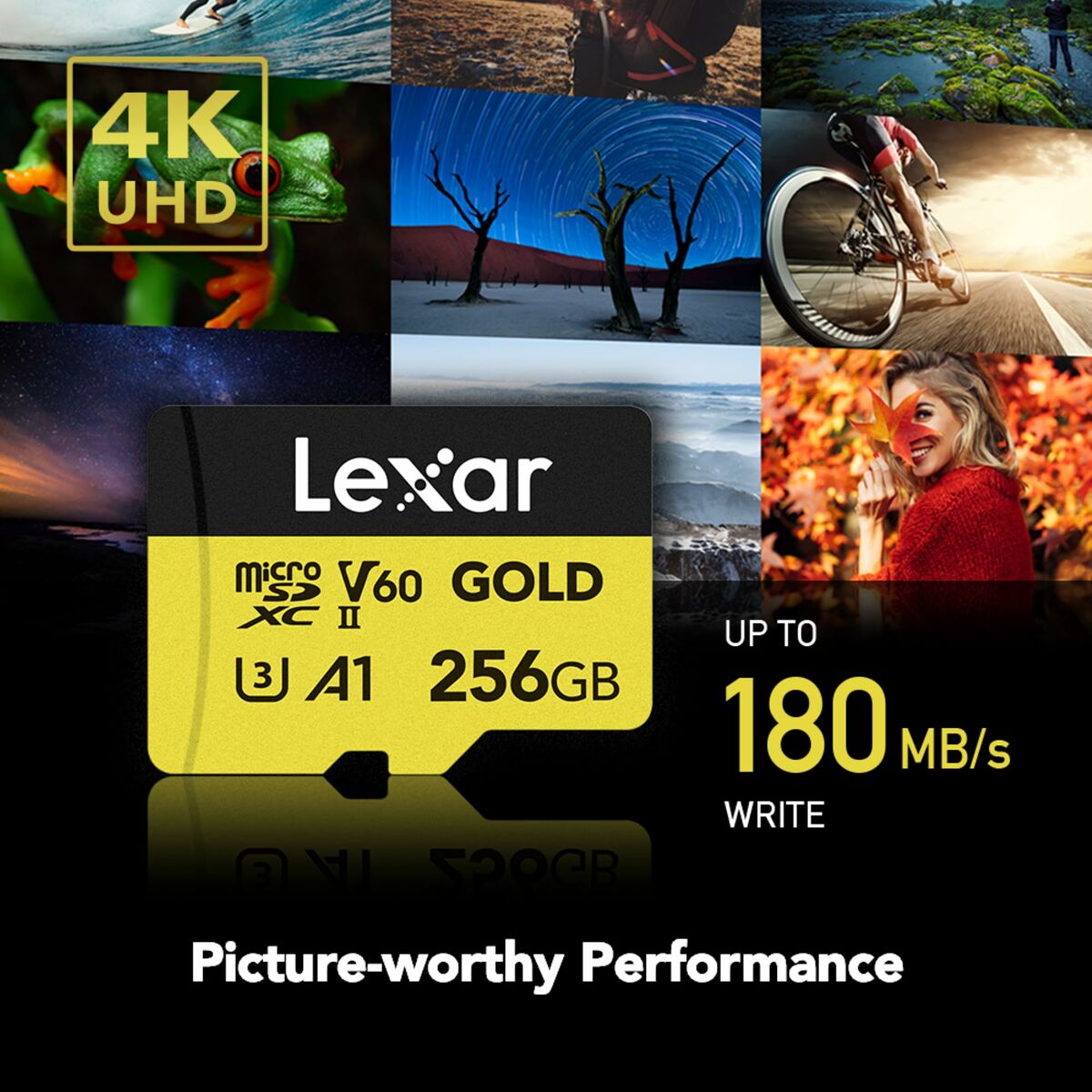 Immagine di SD Memory Card Lexar LMSGOLD256G-BNNNG 256 GB