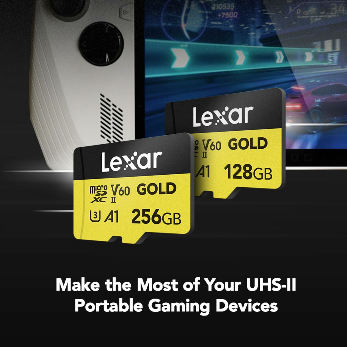 Immagine di SD Memory Card Lexar LMSGOLD256G-BNNNG 256 GB