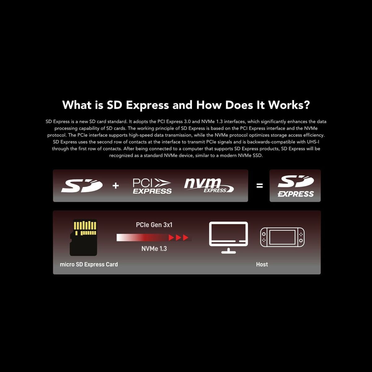 Picture of SD Memory Card Lexar LMSXPS0001T-BNNNG 1 TB