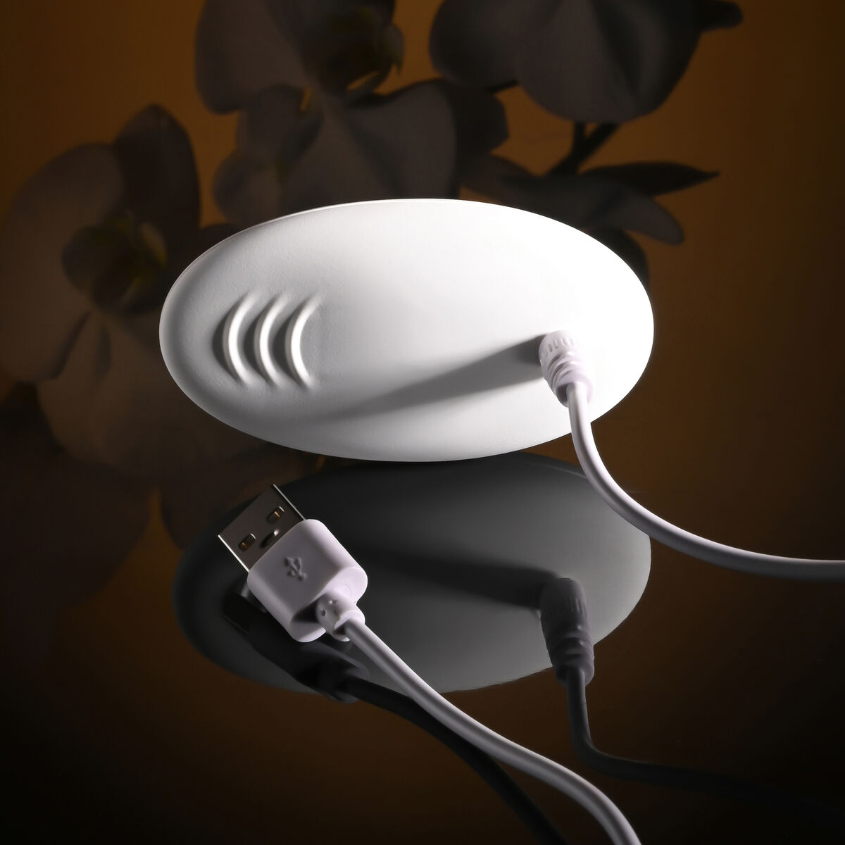 Dvojité dildo Evolved