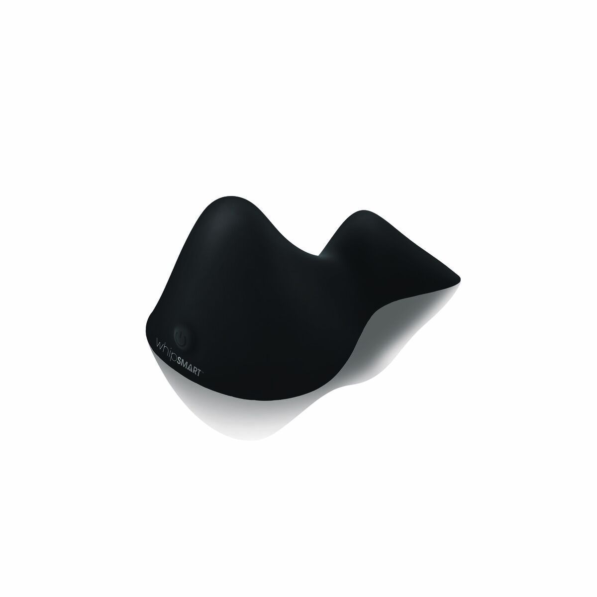Masseur Whipsmart Noir