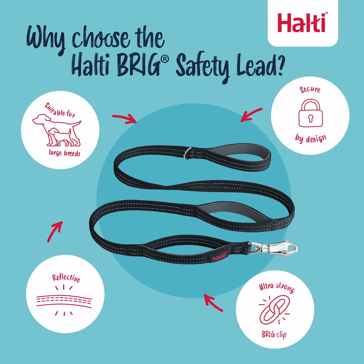 Training lead Company of Animals HALTI BRIG SAFETY Black, view 4