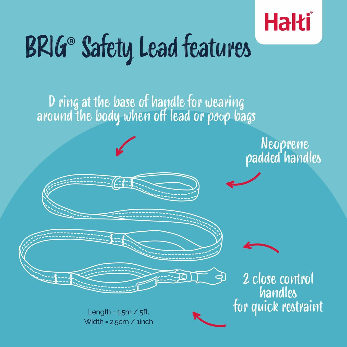 Training lead Company of Animals HALTI BRIG SAFETY Black, view 5