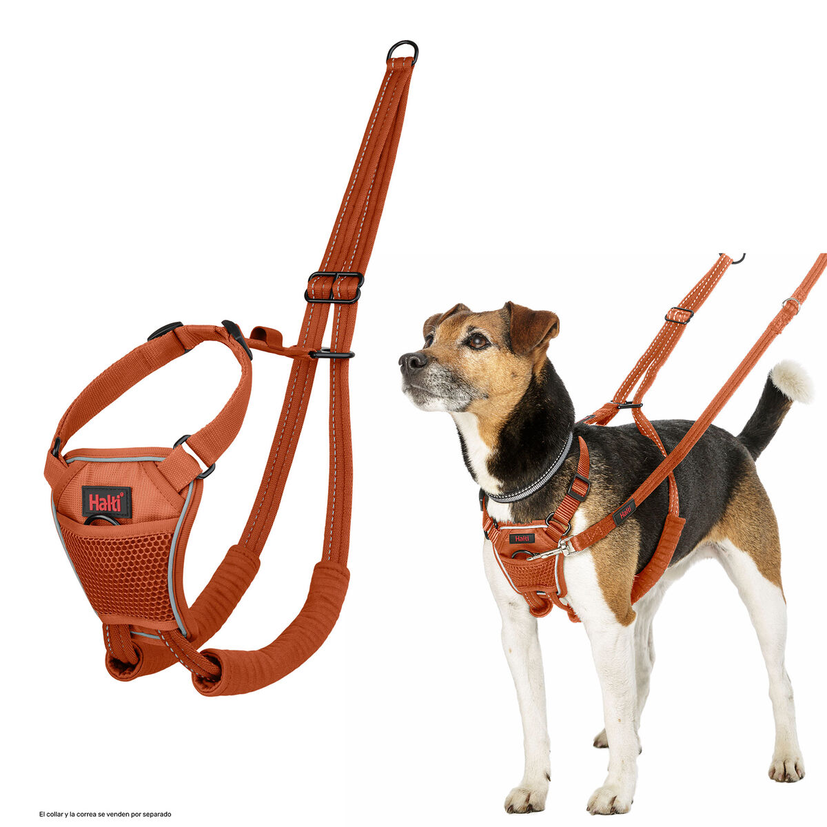 Dog Harness Company of Animals BURNT Orange L, view 6