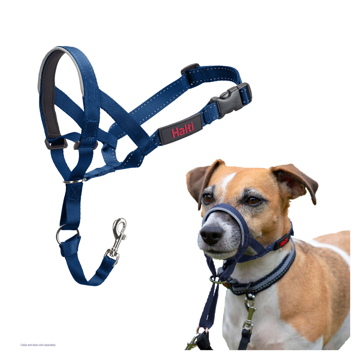 Muilkorf Company of Animals COBALT Blauw 3