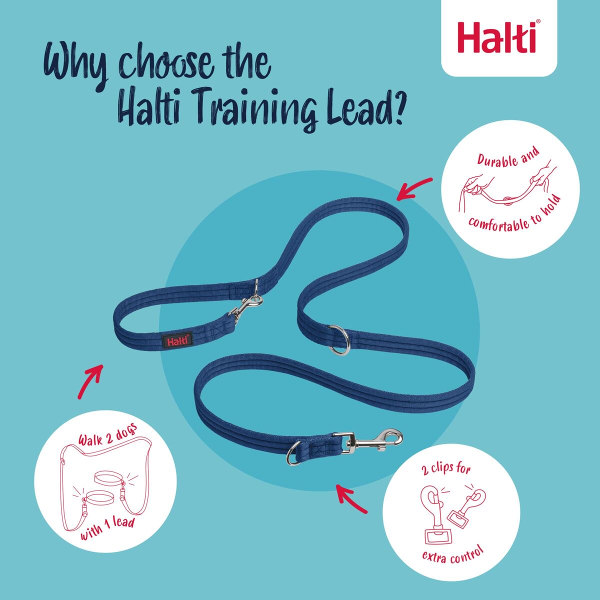 Tracking leash Company of Animals Blue, view 4