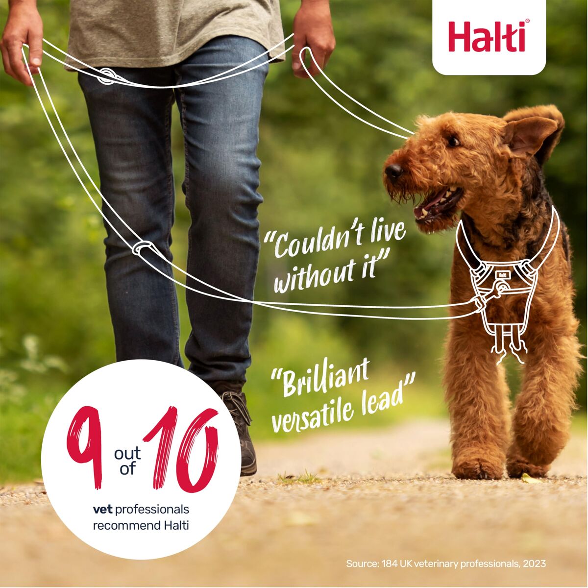 Tracking leash Company of Animals Blue, view 6
