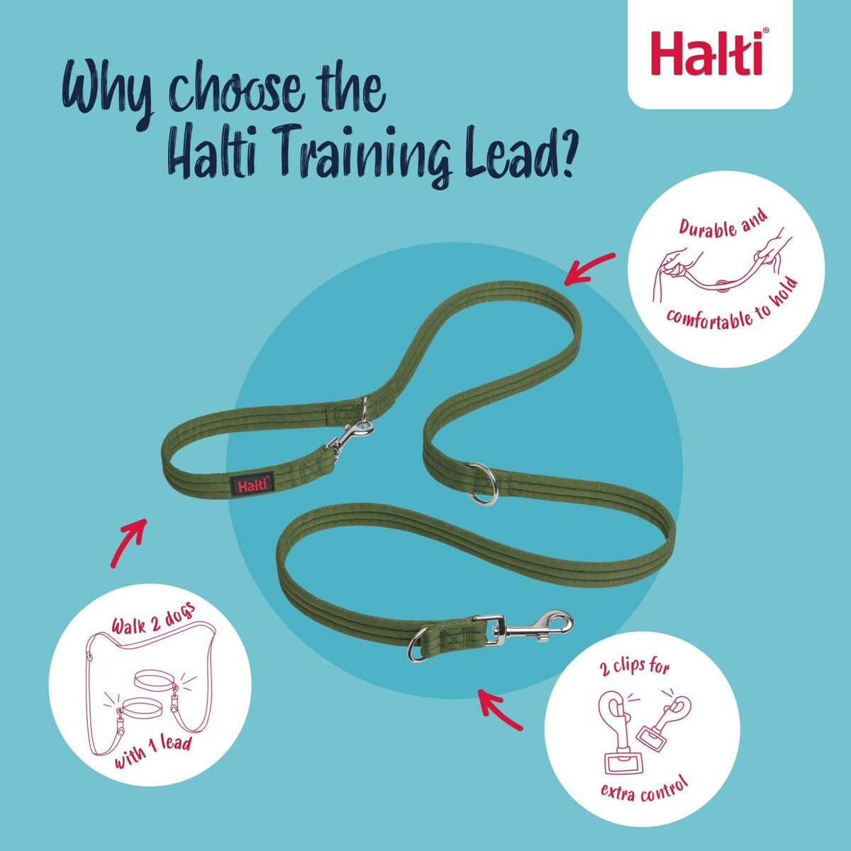 Tracking leash Company of Animals Green, view 4