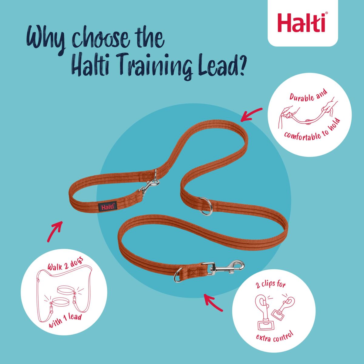 Tracking leash Company of Animals Orange, view 4