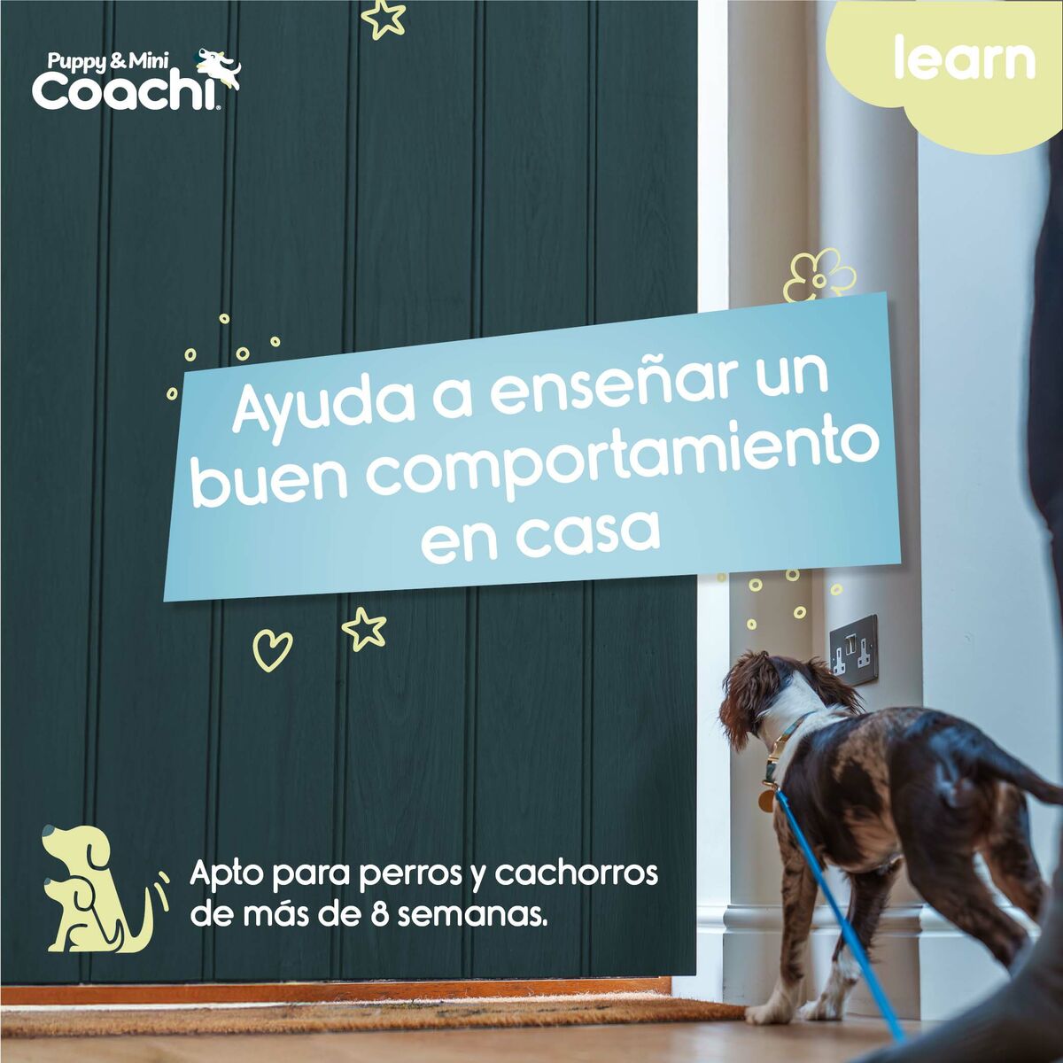 Training lead Coachi Puppy & Mini Green 2,5 m, view 3