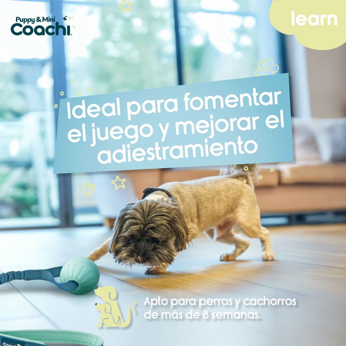 Harnais pour Chien Coachi