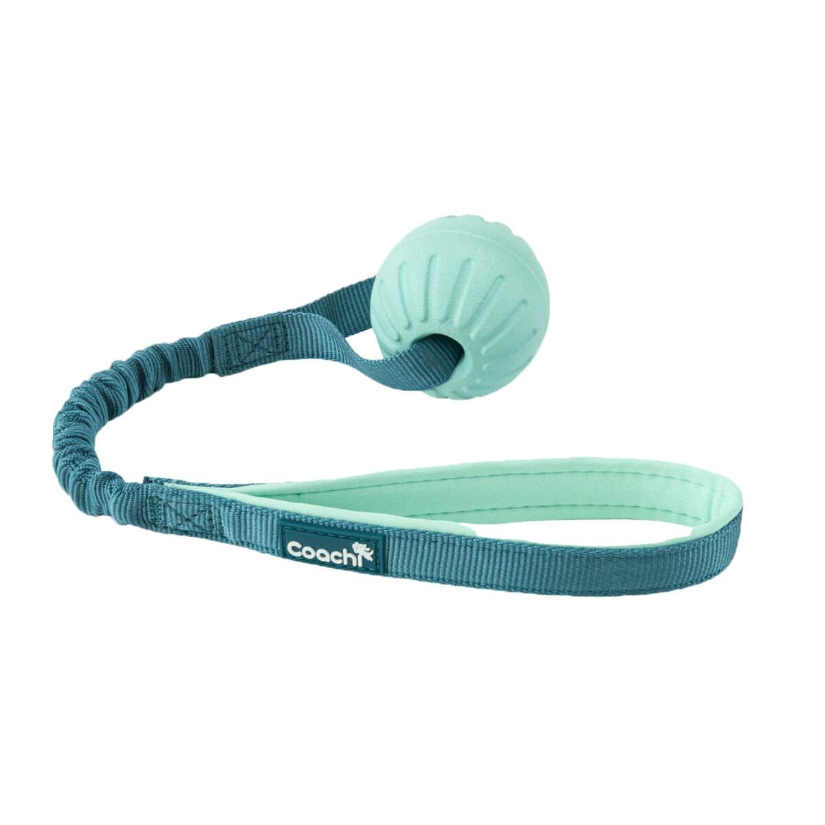 Image secondaire de Harnais pour Chien Coachi