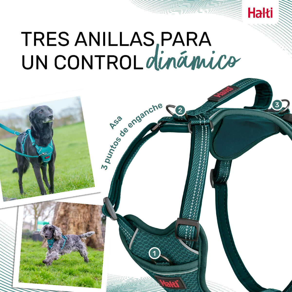 Dog Harness Company of Animals Turquoise S 28-42 cm, view 2