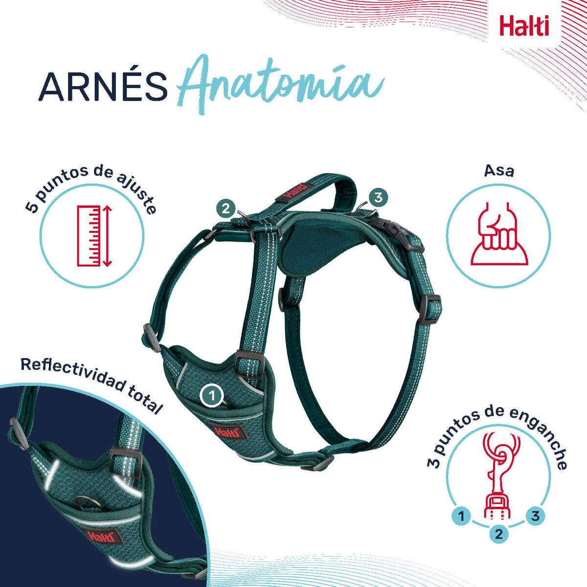 Dog Harness Company of Animals Turquoise M 35-55 cm, view 3