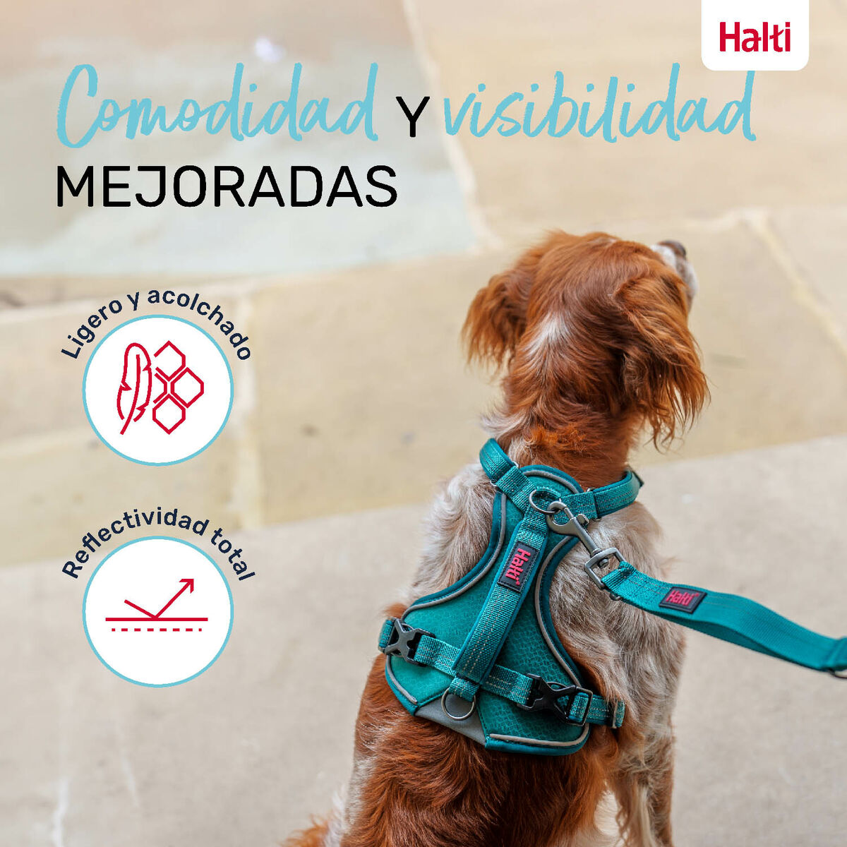 Dog Harness Company of Animals Turquoise L 42-65 cm, view 5