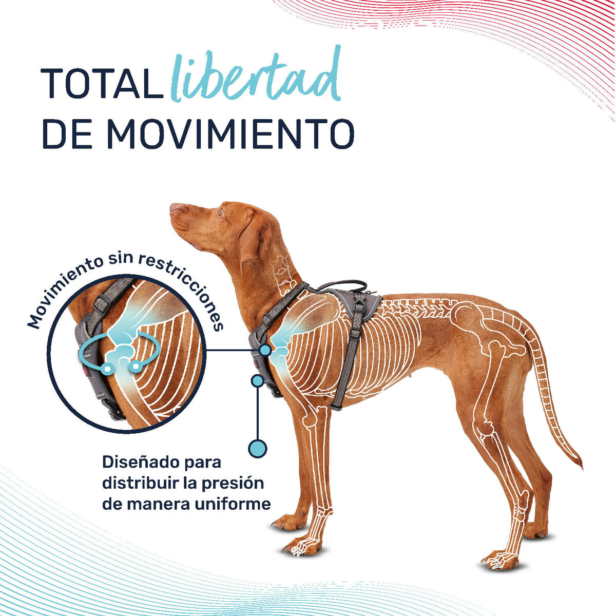 Hondentuigje Company of Animals Bordeaux XS 20-32 cm
