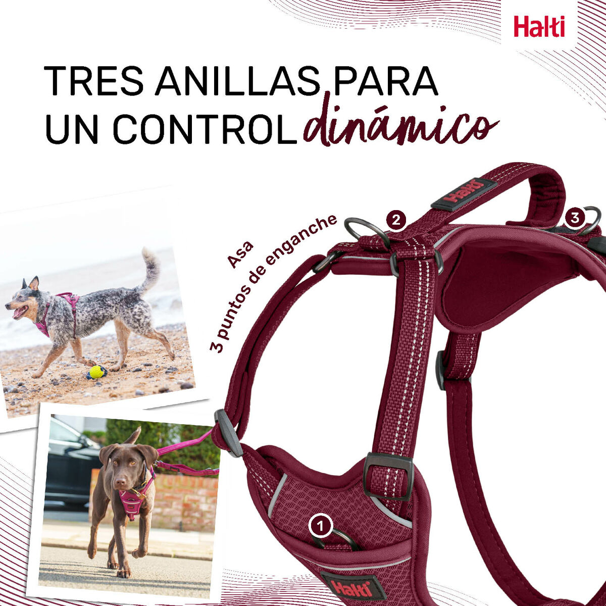 Dog Harness Company of Animals Burgundy S 28-42 cm, view 2