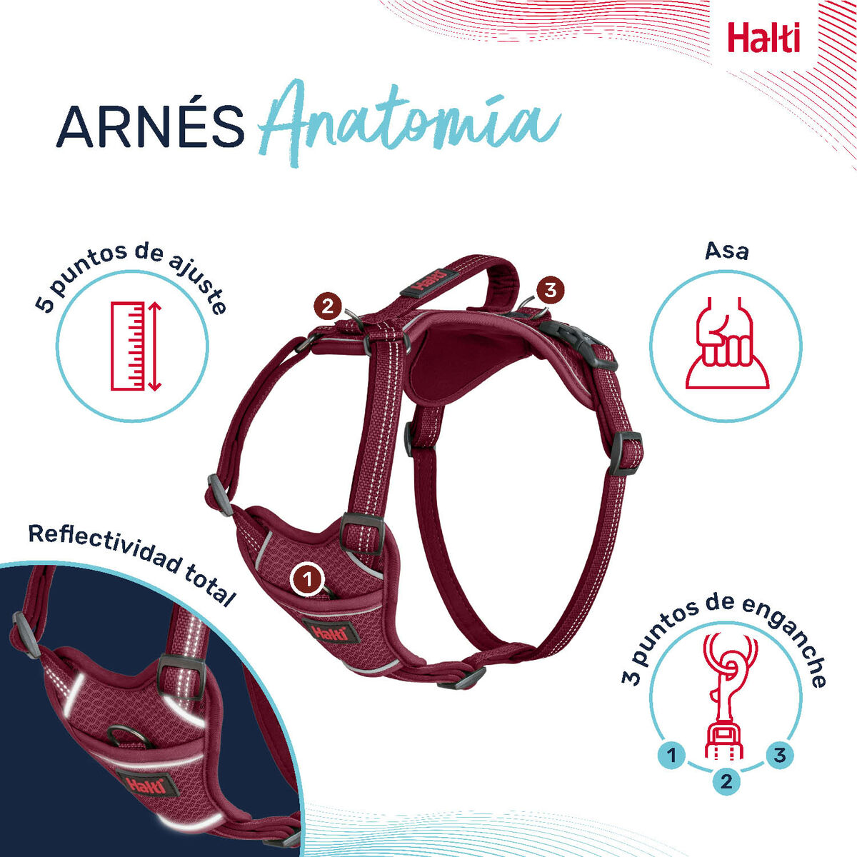 Dog Harness Company of Animals Burgundy M 35-55 cm, view 5