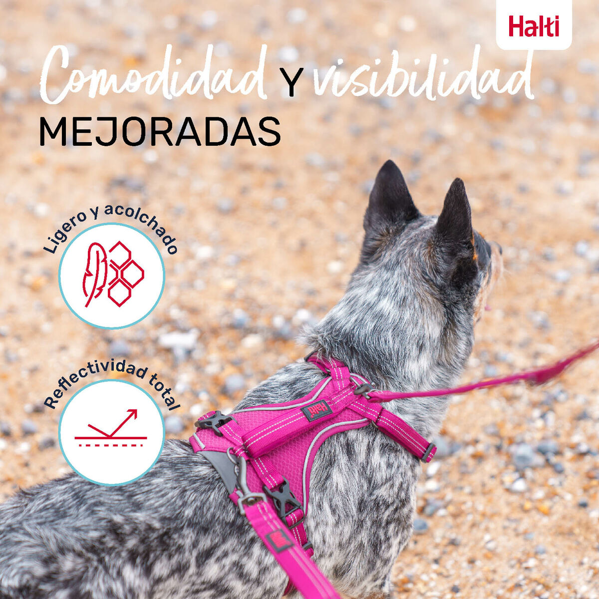 Dog Harness Company of Animals Burgundy L 42-65 cm, view 6