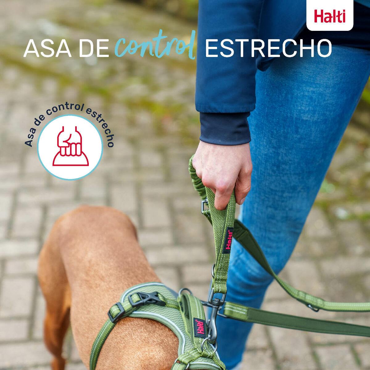 Hondenriem Company of Animals Groen S