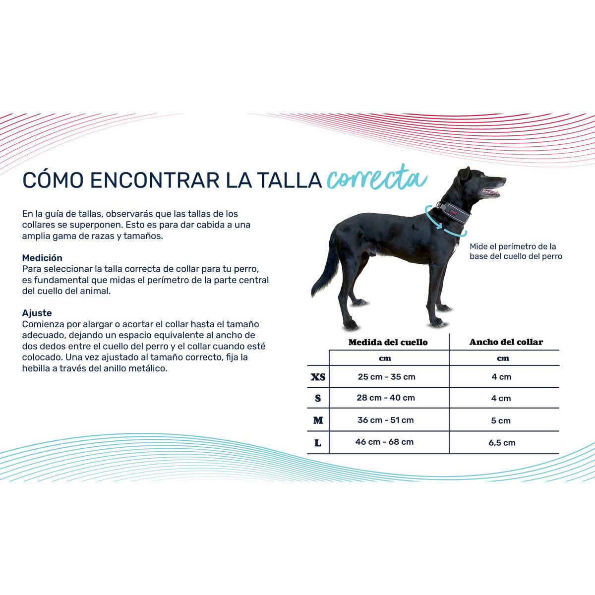 Hondenhalsband Company of Animals Groen