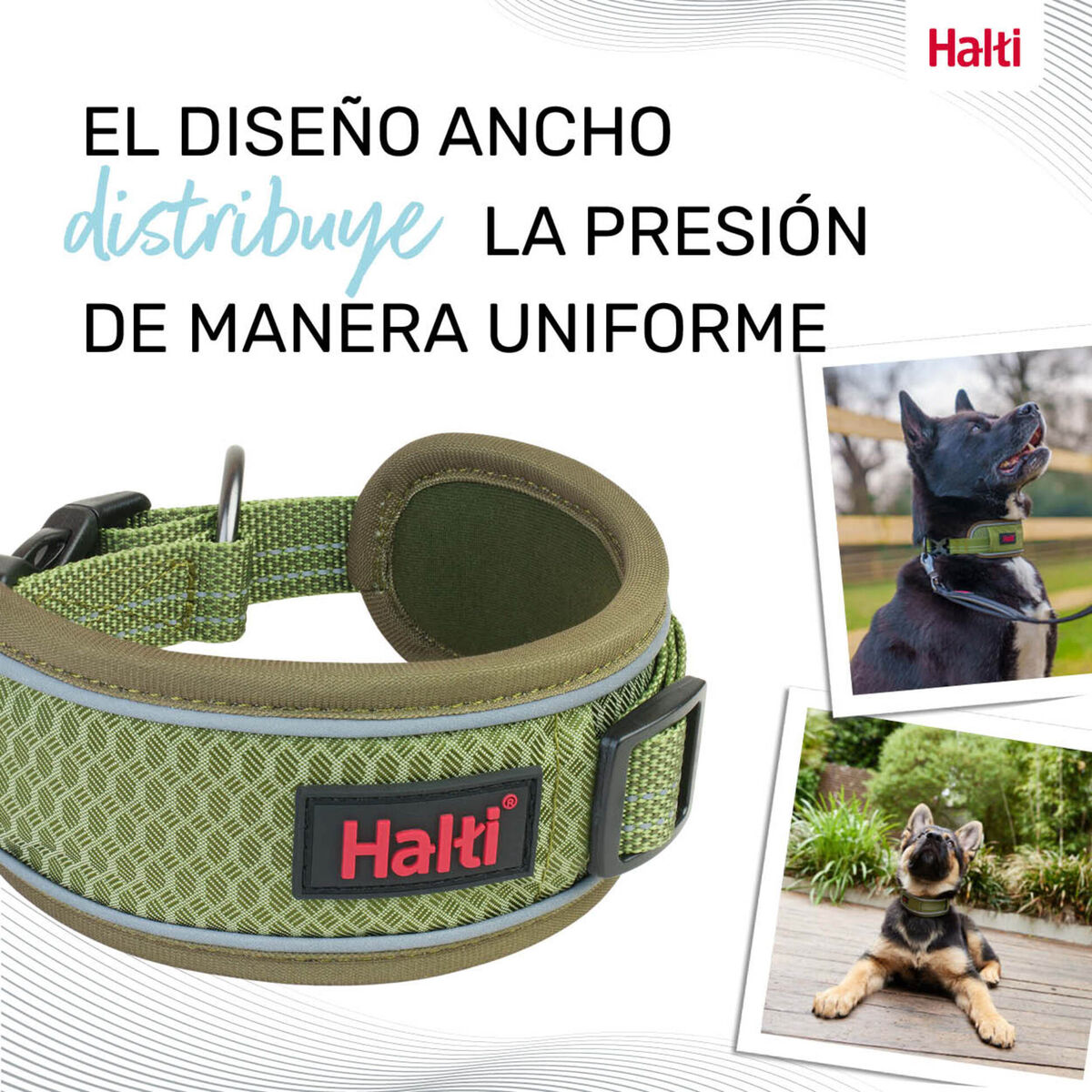 Hondenhalsband Company of Animals Groen