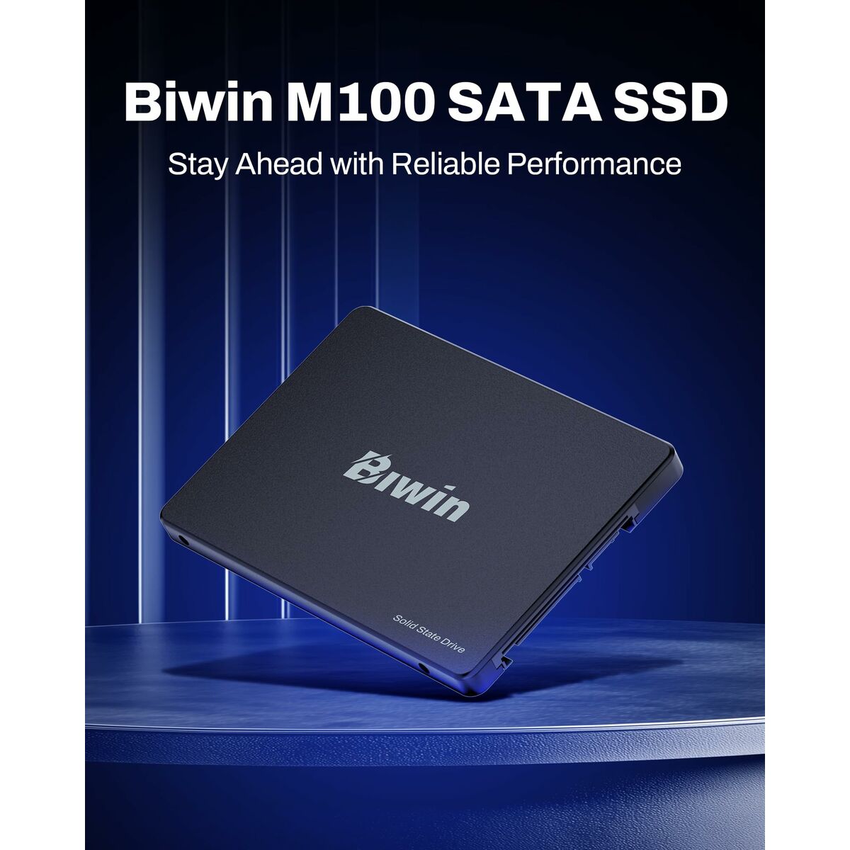 Picture of Hard Drive Biwin M100 256 GB SSD