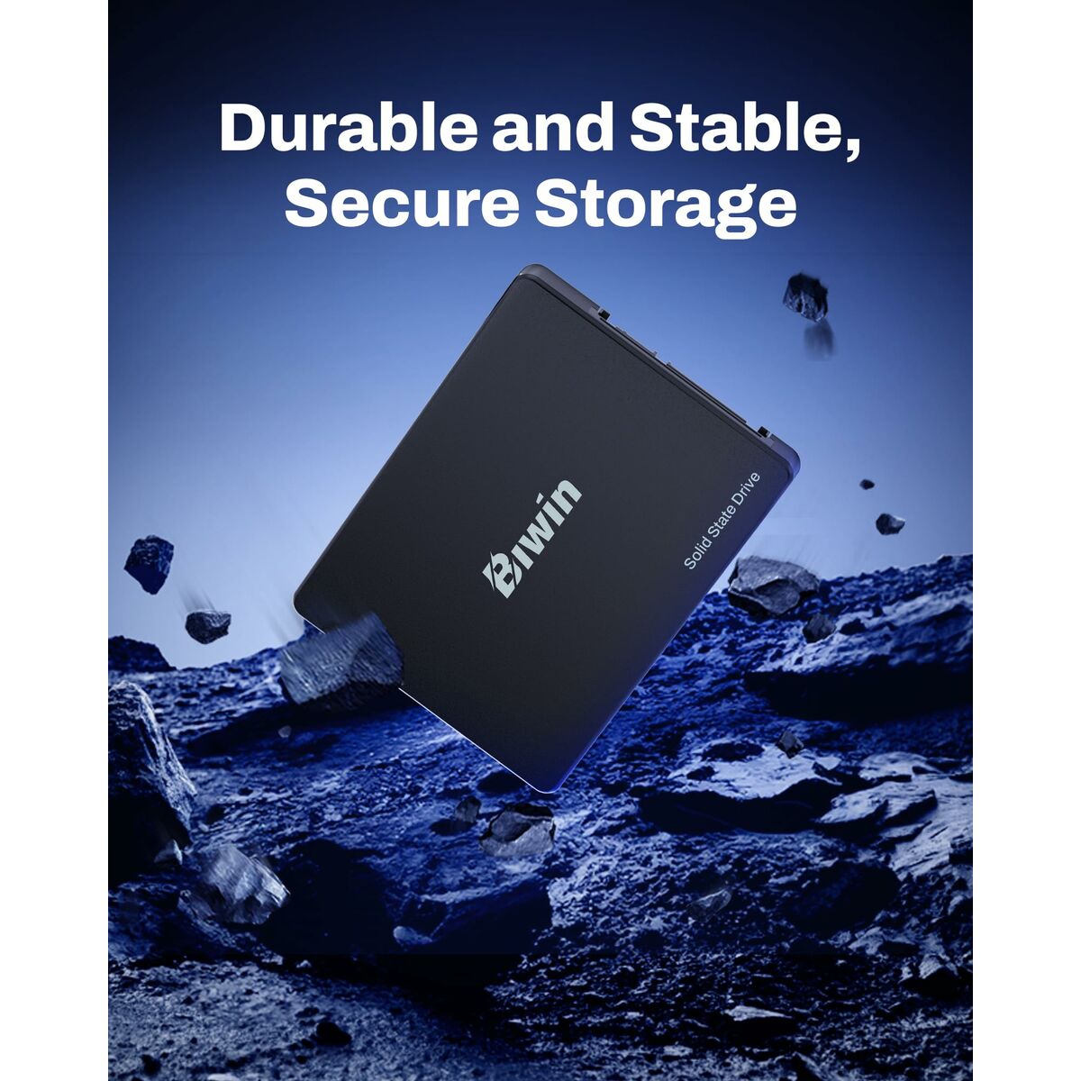Picture of Hard Drive Biwin M100 256 GB SSD