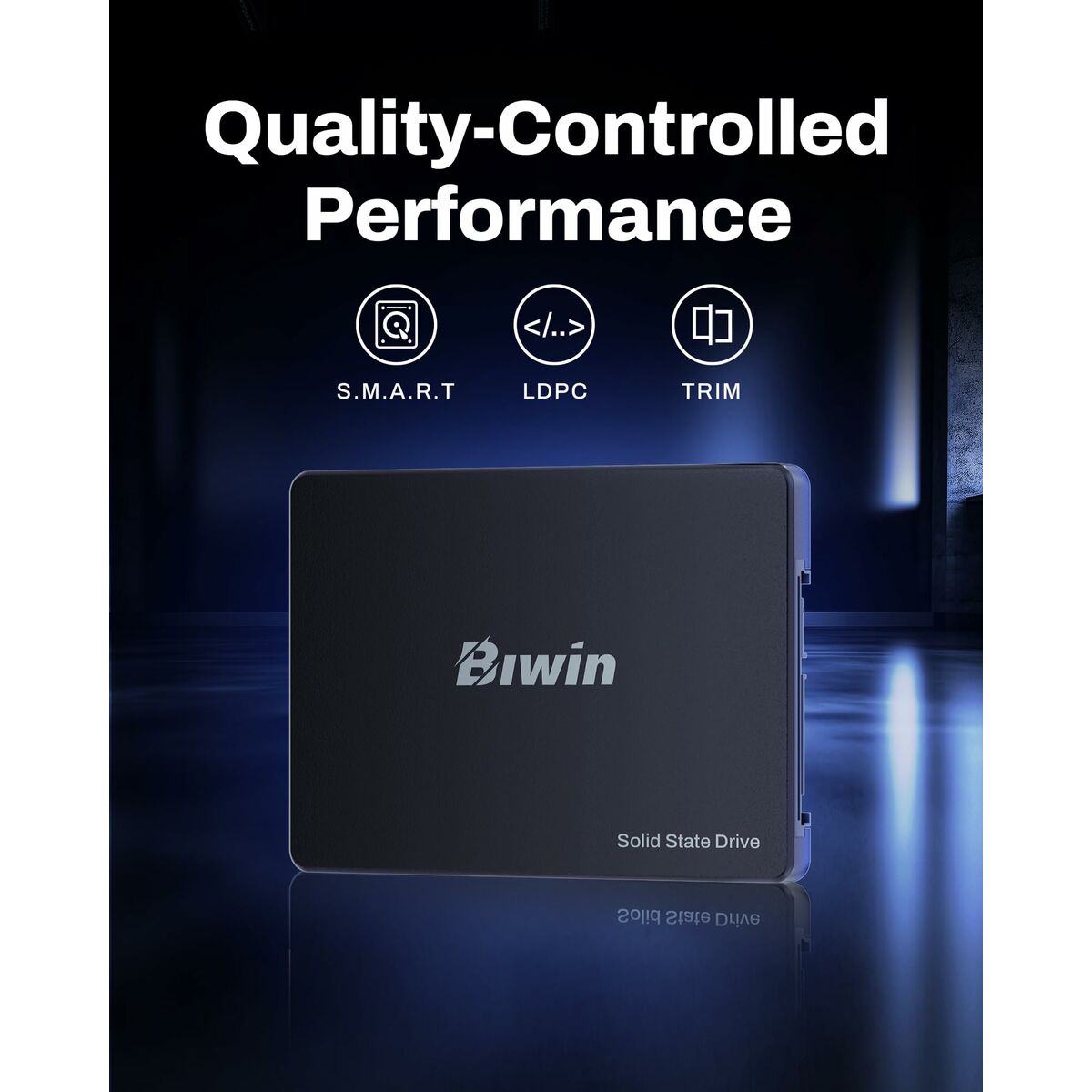 Picture of Hard Drive Biwin M100 256 GB SSD