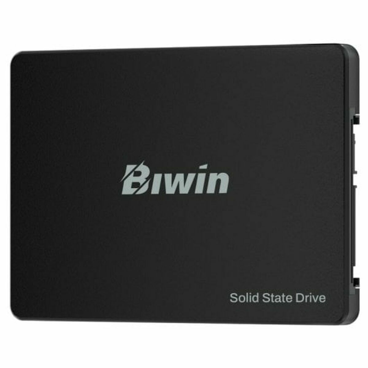 Picture of Hard Drive Biwin M100 256 GB SSD