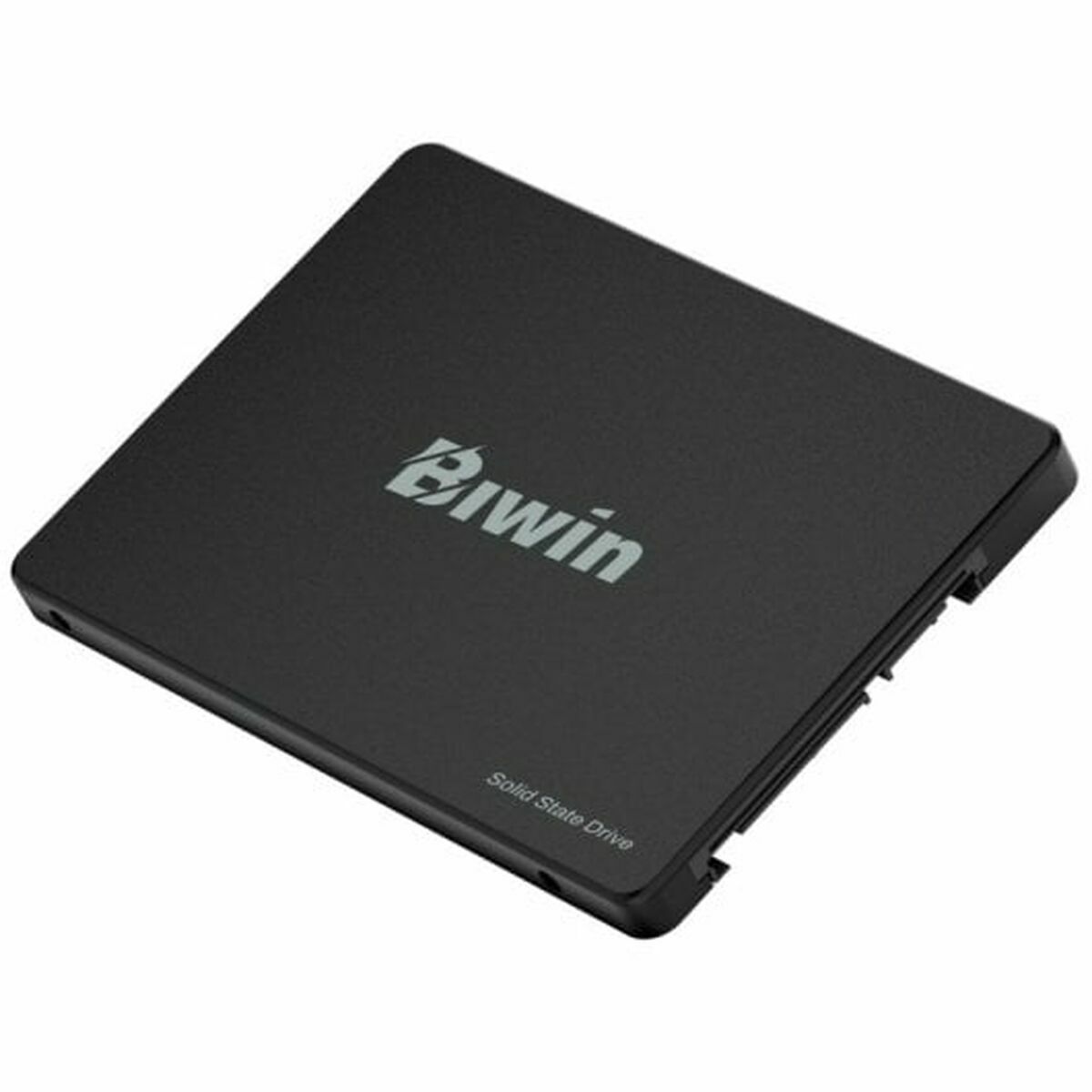 Picture of Hard Drive Biwin M100 256 GB SSD