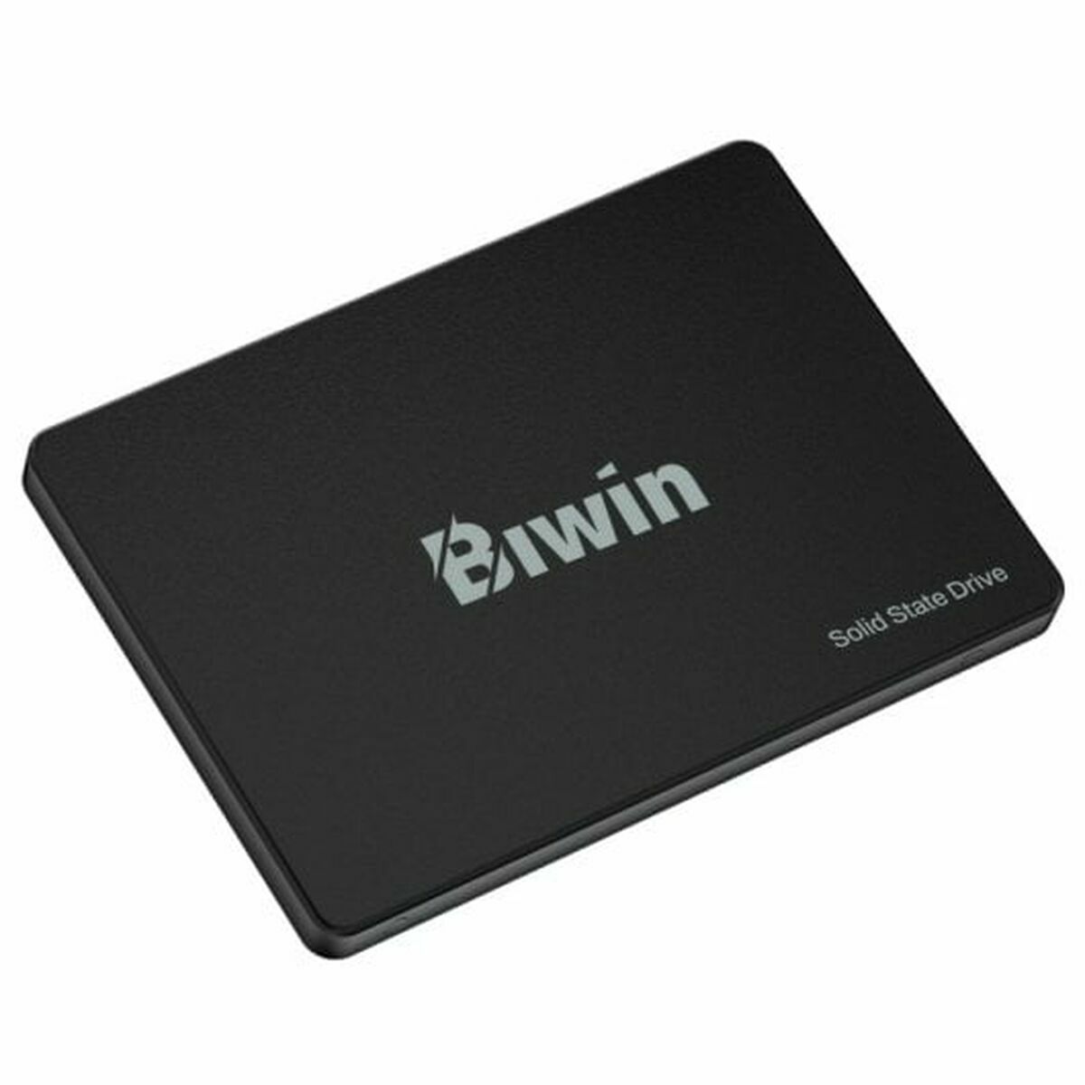 Picture of Hard Drive Biwin M100 256 GB SSD