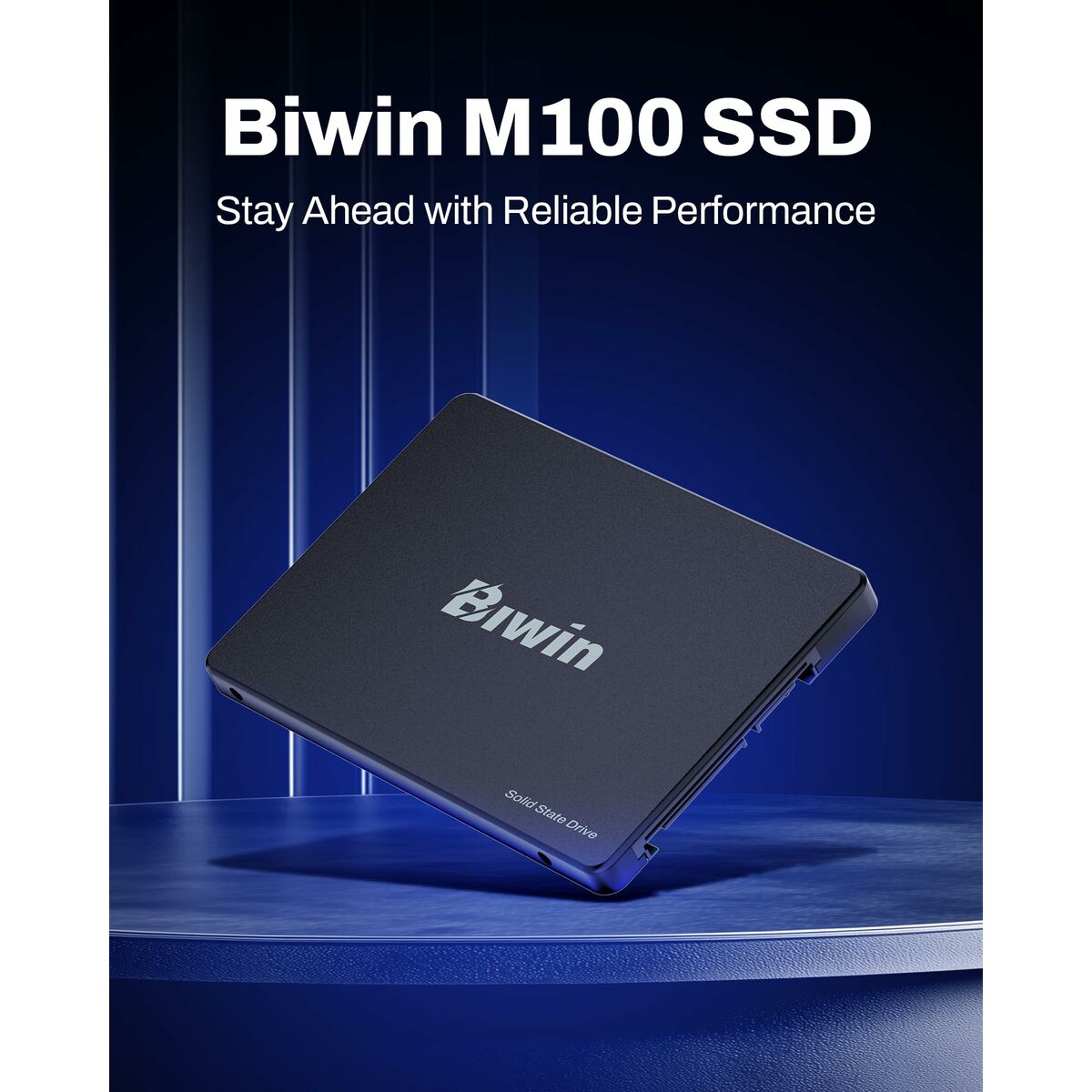 Picture of Hard Drive Biwin M100 1 TB SSD