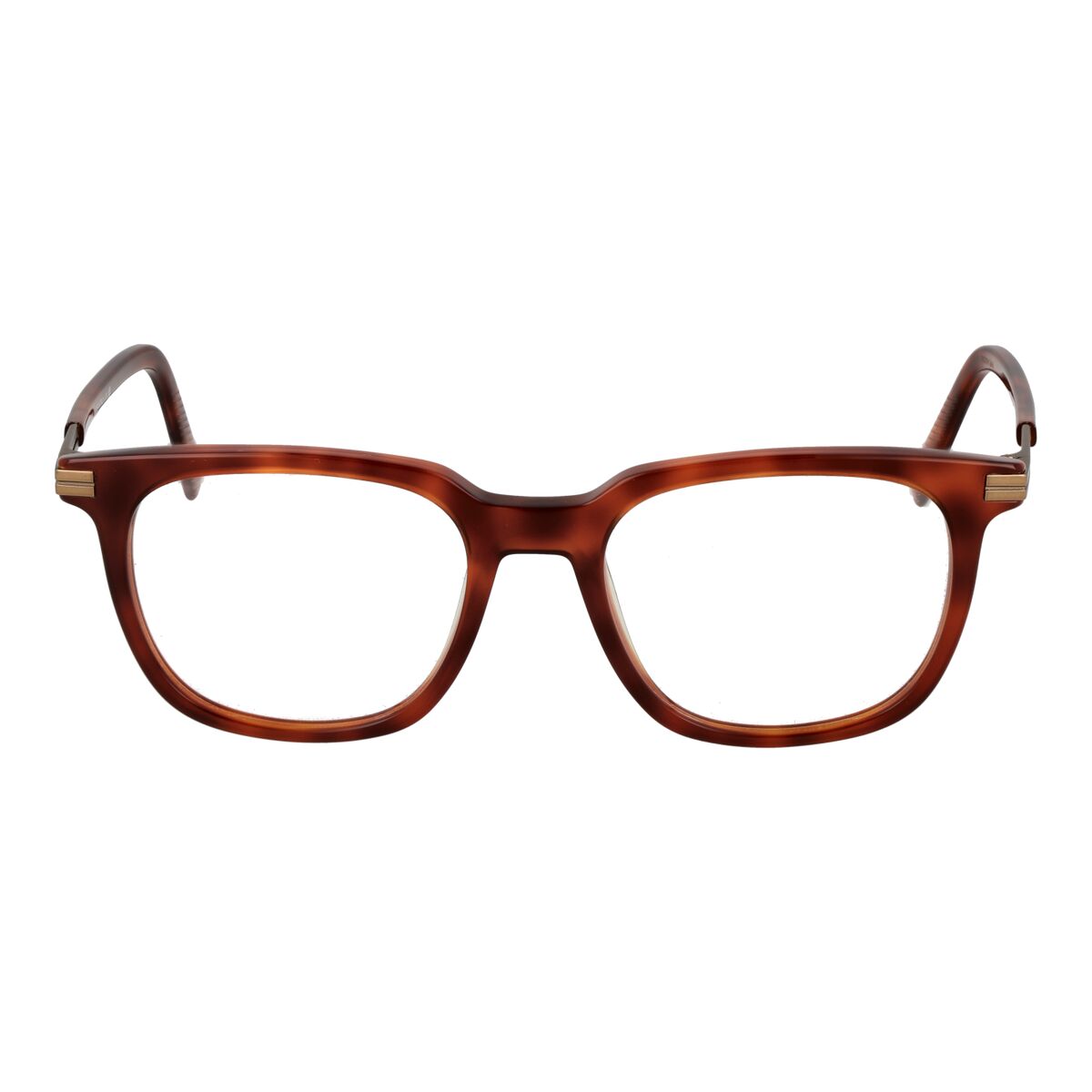 Uniseks Brillenframe Ermenegildo Zegna EZ5273 52052