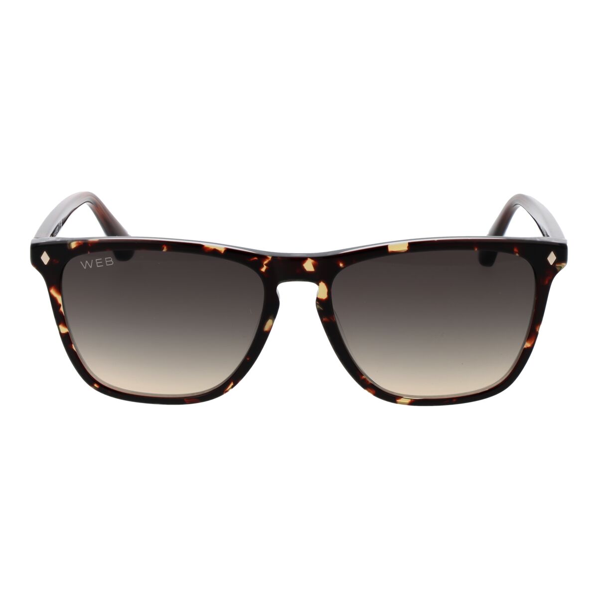 Image secondaire de Lunettes de soleil Homme Web Eyewear WE0363 5556B